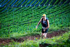 BIB: 
                            <button type="button" onclick="openModal(19159916)" class="btn btn-primary btn-sm float-right btn-popup" data-toggle="modal" data-target=".modal-high-quality">
                        <i class="fas fa-shopping-cart"></i> Add to Cart
                    </button>
                                            <button type="button" onclick="isThisMe(19159916, true)" class="btn btn-success btn-sm float-right btn-popup btn-isme hidden" data-toggle="tooltip" data-placement="bottom" title="นี่คือรูปของคุณใช่ไหม คลิกที่นี่เพื่อเอาเข้าอัลบั้ม">
                        <i class="fas fa-plus"></i> Add to album
                    </button>
                    <button type="button" onclick="isThisMe(19159916, false)" class="btn btn-warning btn-sm float-right btn-popup btn-isnotme hidden">
                        <i class="fas fa-ban"></i> Remove from album
                    </button>